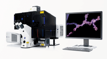 Image: The ELYRA super-resolution microscope system enables 3D-PALM imagery (Photo courtesy of Zeiss).